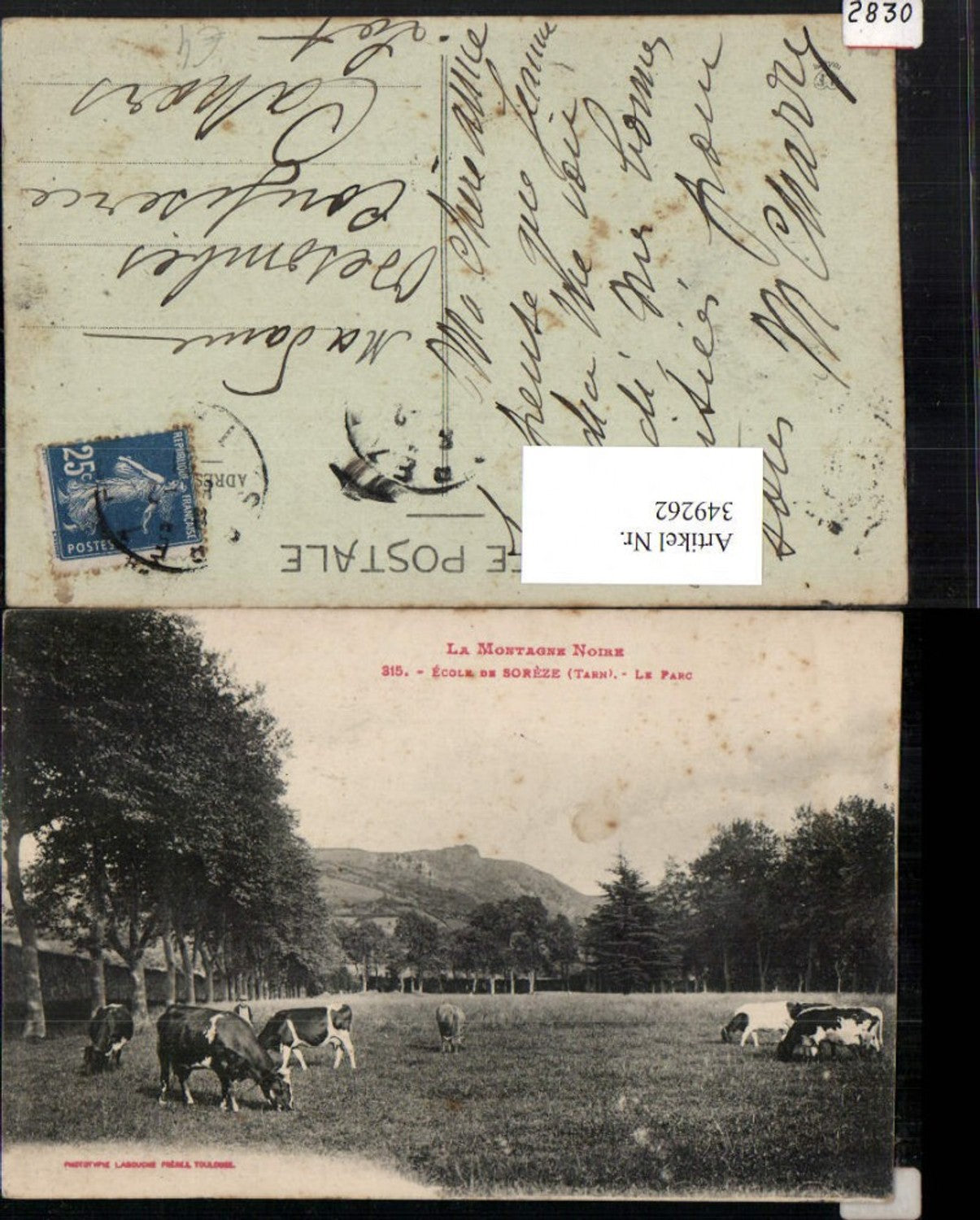 349262,Midi-Pyrenees Tarn Ecole de Soreze Le Parc Rinder Kühe