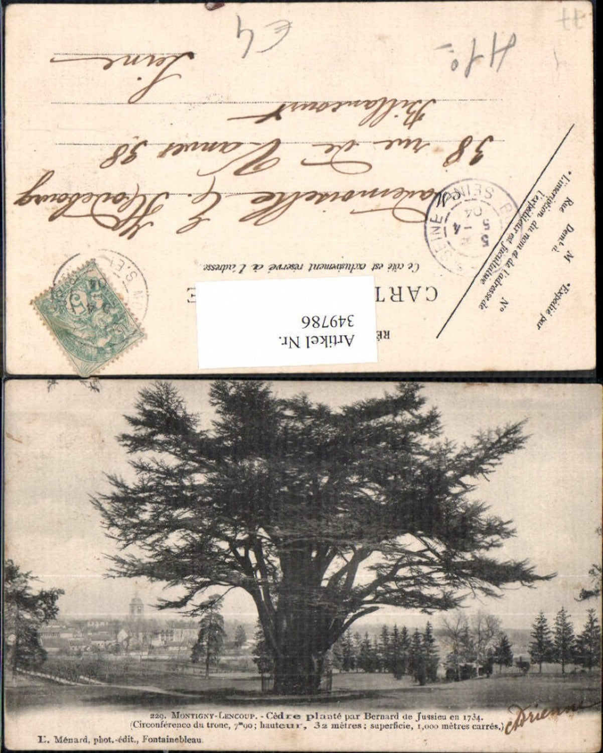 349786,Ile-de-France Seine-et-Marne Montigny-Lencoup Cedre plante par Bernard de Jussieu en 1734