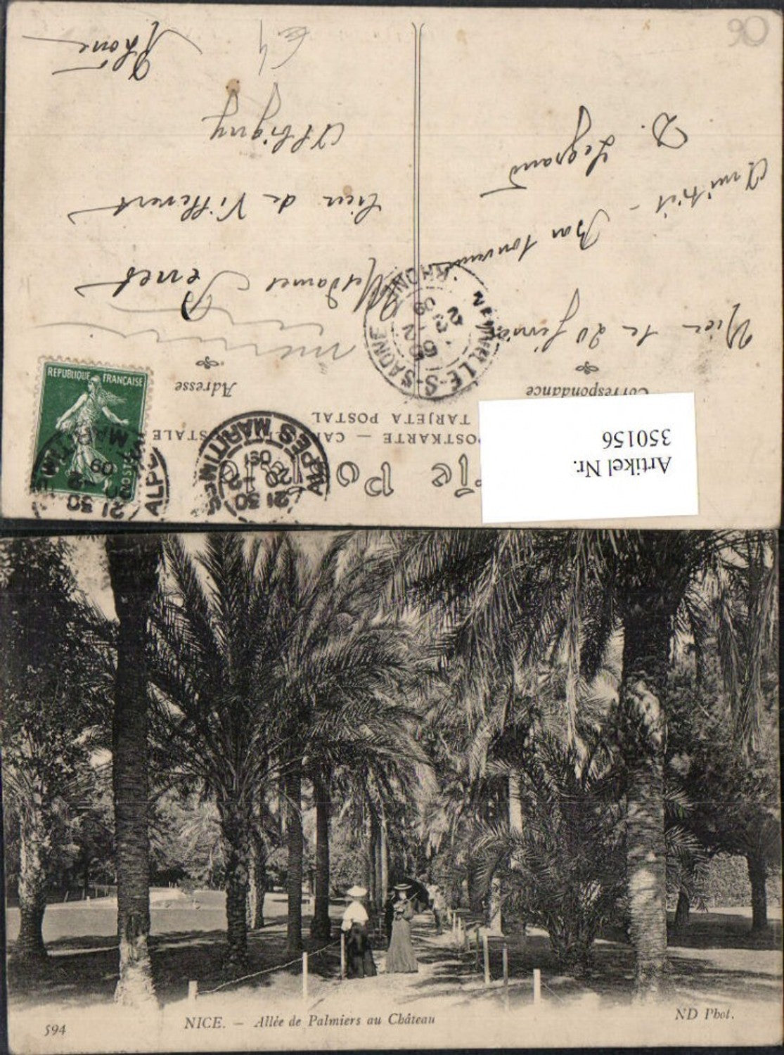 350156,Provence-Alpes-Cote-Azur Alpes-Maritimes Nice Nizza Allee de Palmiers au Chateau