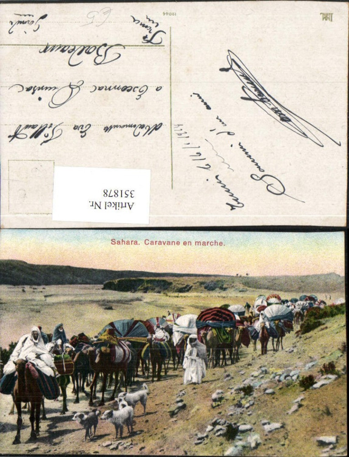 351878,Sahara Caravane en marche Karawane Volkstypen Kamele Hunde