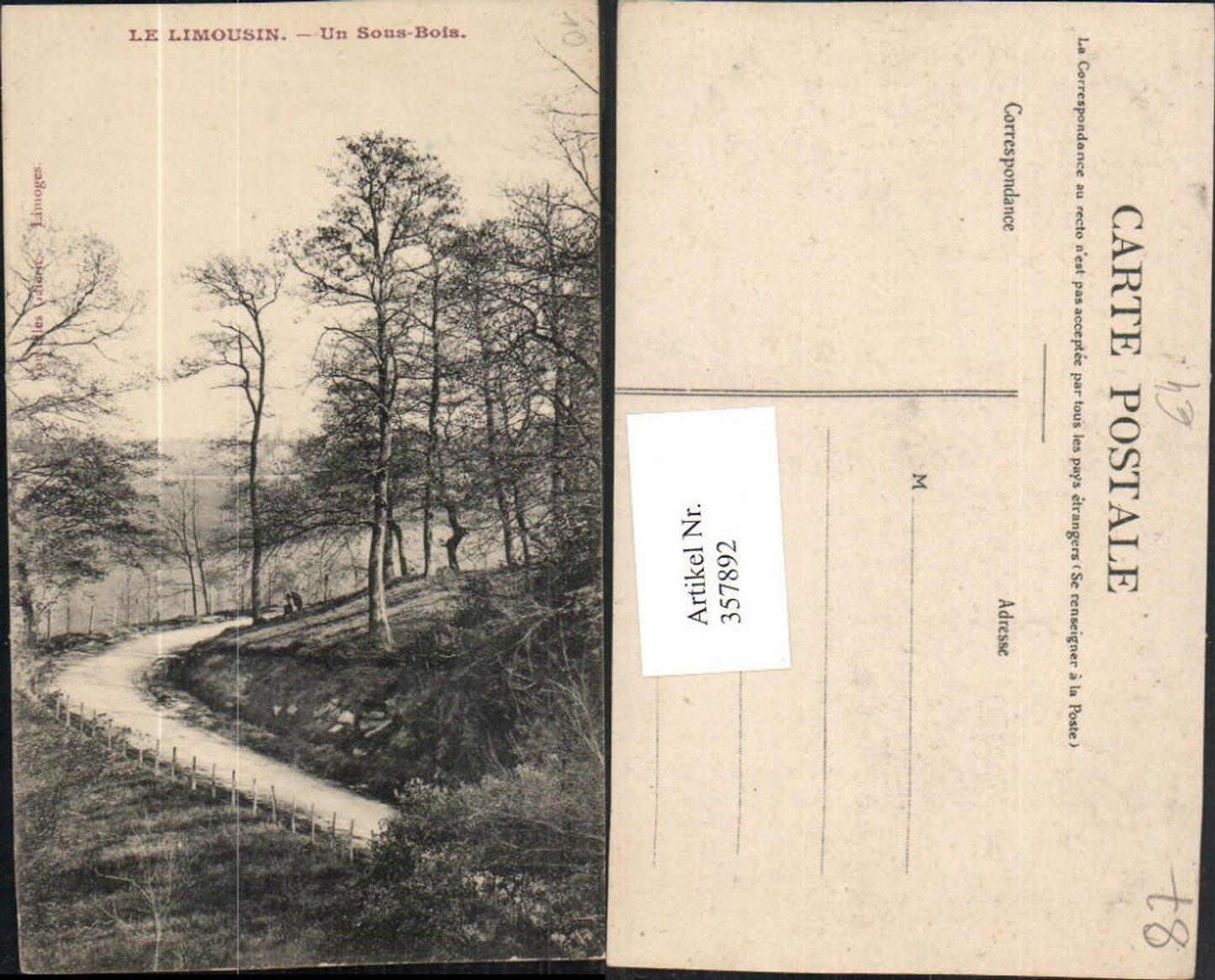 357892,Limousin Haute-Vienne Un Sous-Bois Partie