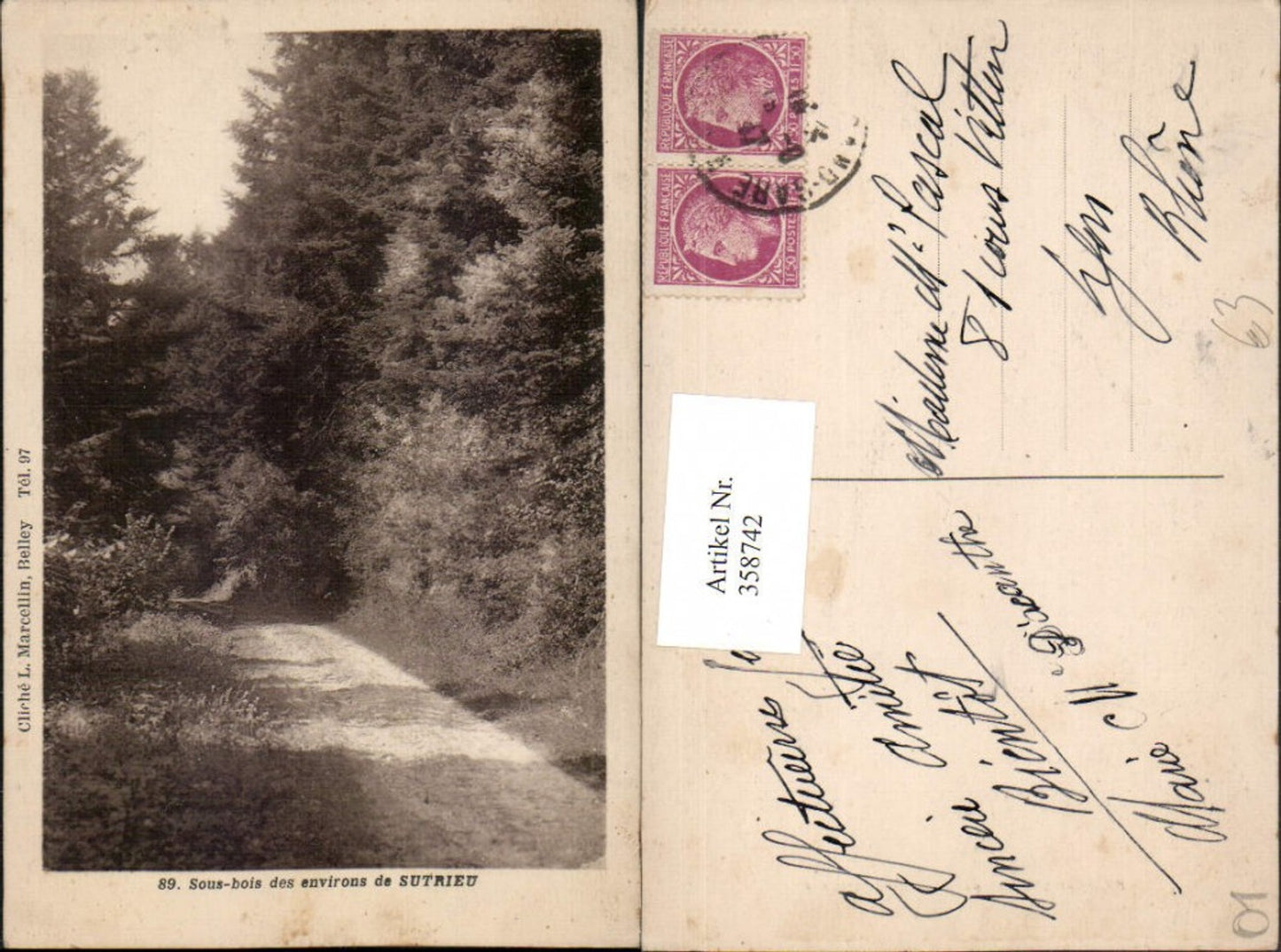 358742,Rhone-Alpes Ain Sous-bois des environs de Sutrieu Wegpartie