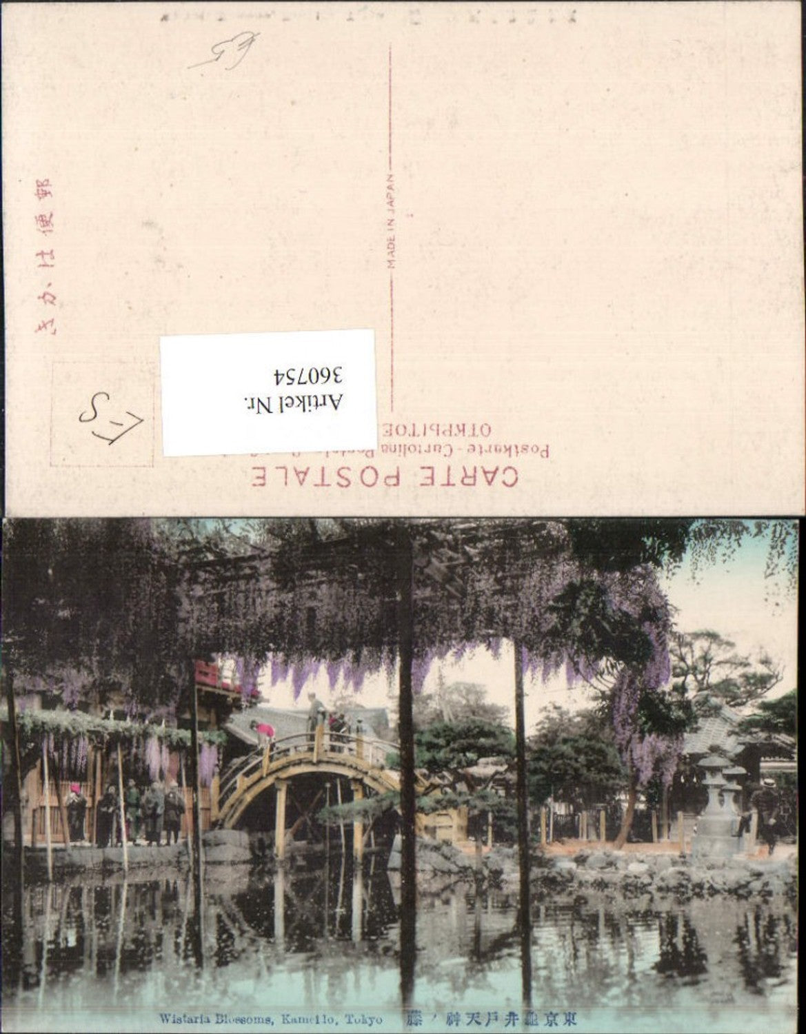 360754,Japan Tokyo Tokio Kameido Wistaria Blossoms Blauregen Brücke