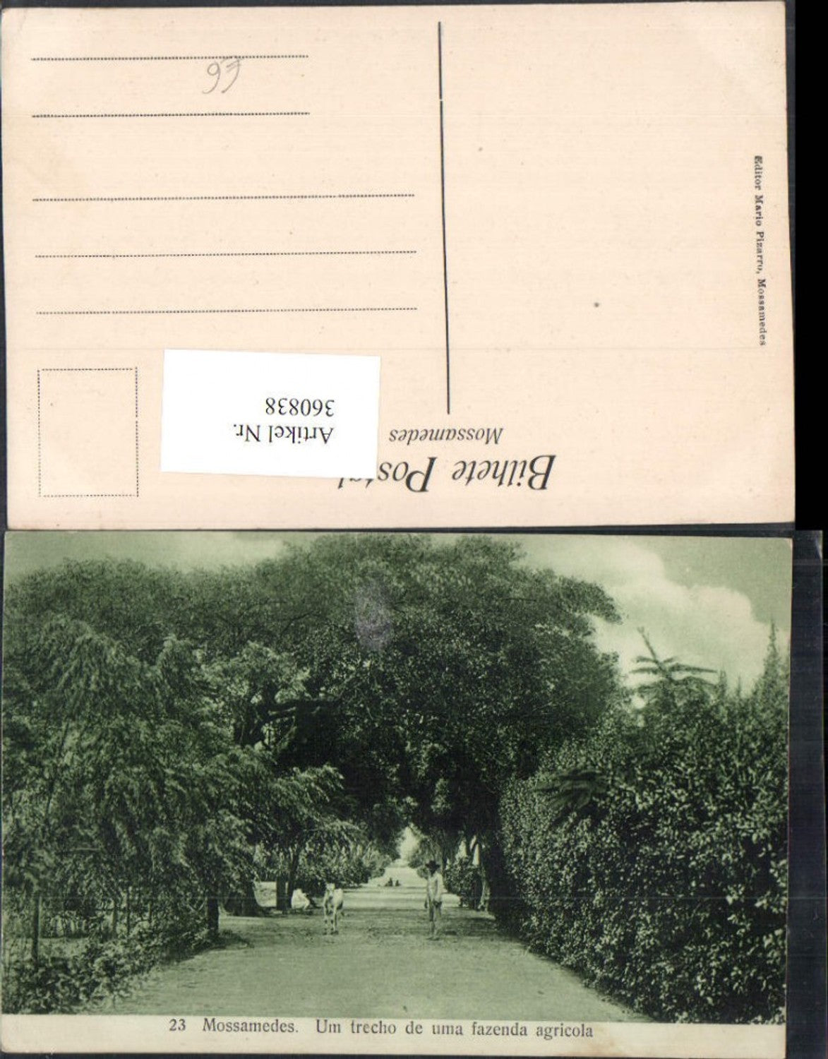 360838,Africa Angola Mossamedes Namibe Um trecho de uma fazenda agricola Straße