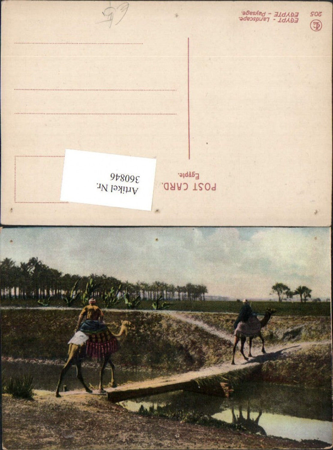 360846,Africa Egypt Egypte Landscape Landschaft Nomaden Kamele Brücke