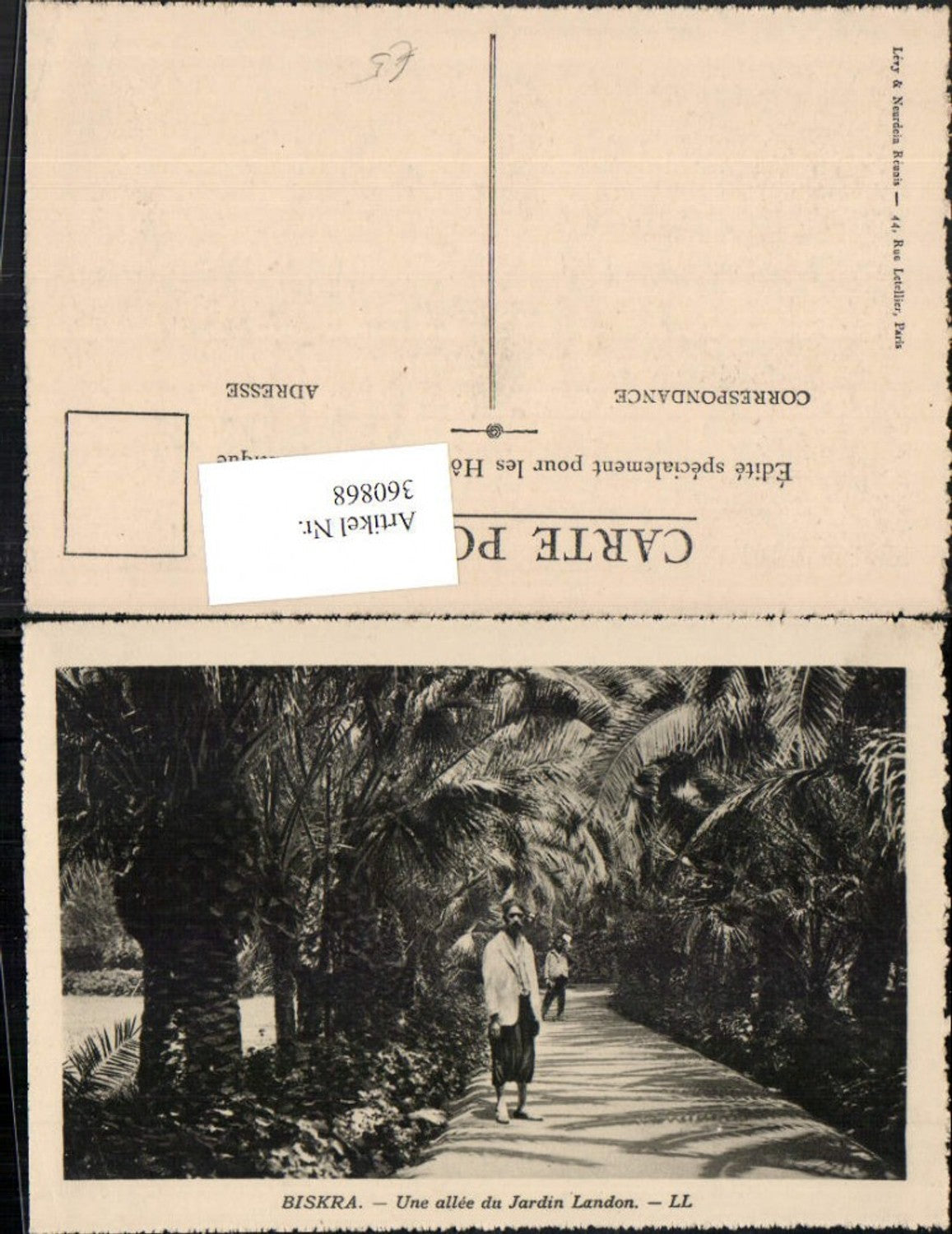 360868,Africa Algeria Biskra Une allee du Jardin Landon Straße Palmen