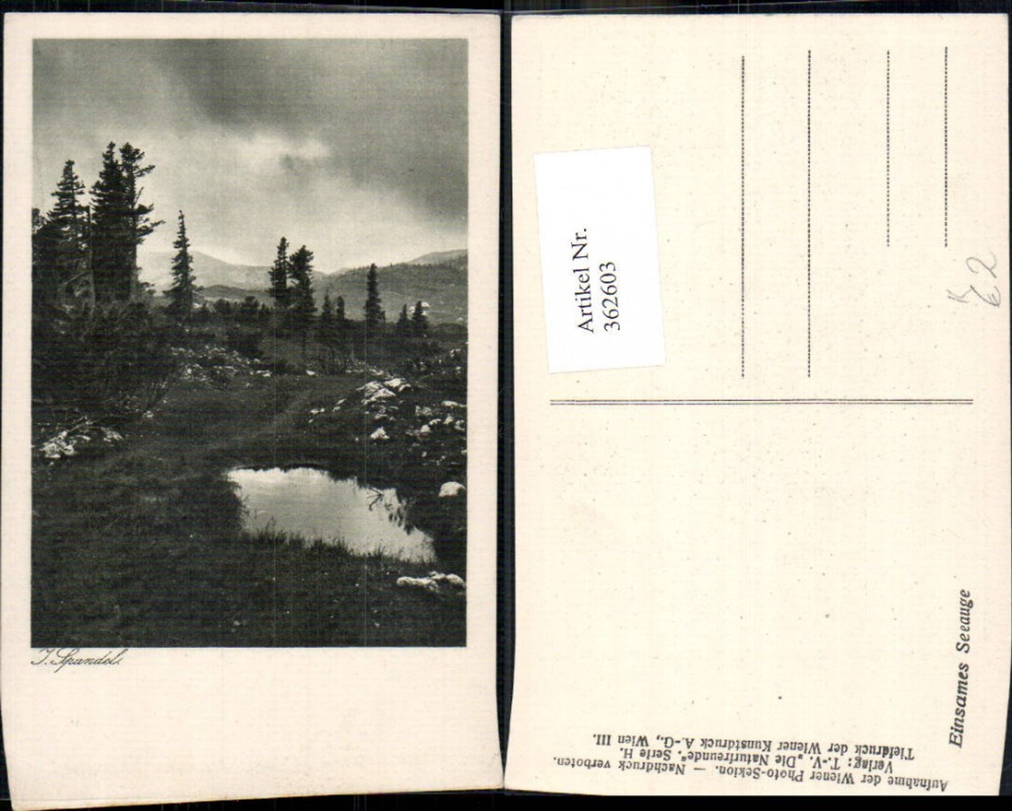362603,Künstler Ak J. Spandel See Landschaft Einsames Seeauge