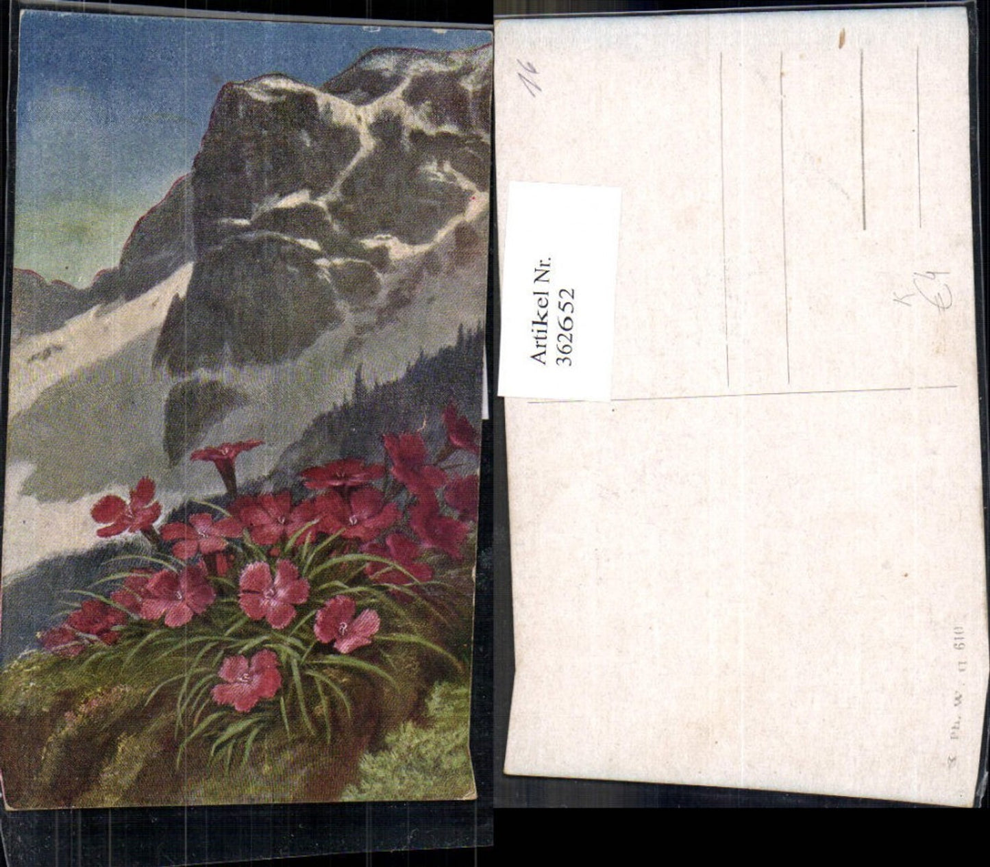 362652,Künstler Ak Alpenflora Blumen Bergkulisse
