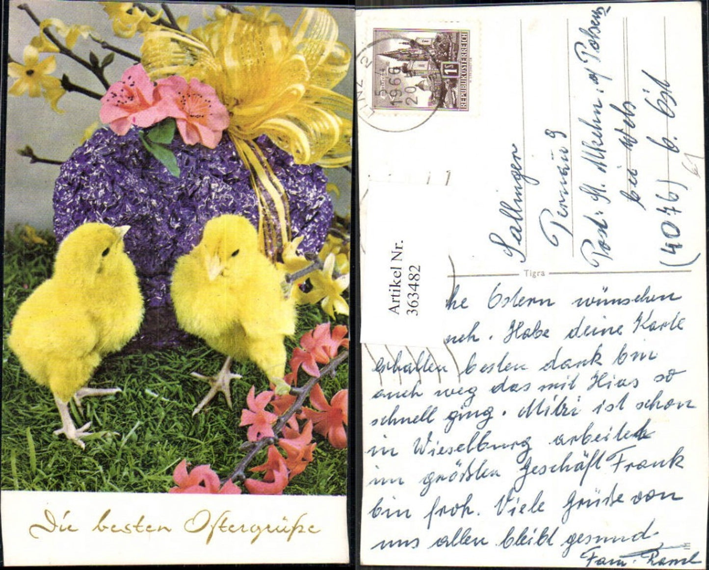 363482, Easter chick egg a. Blossom ribbon golden rain flower branch