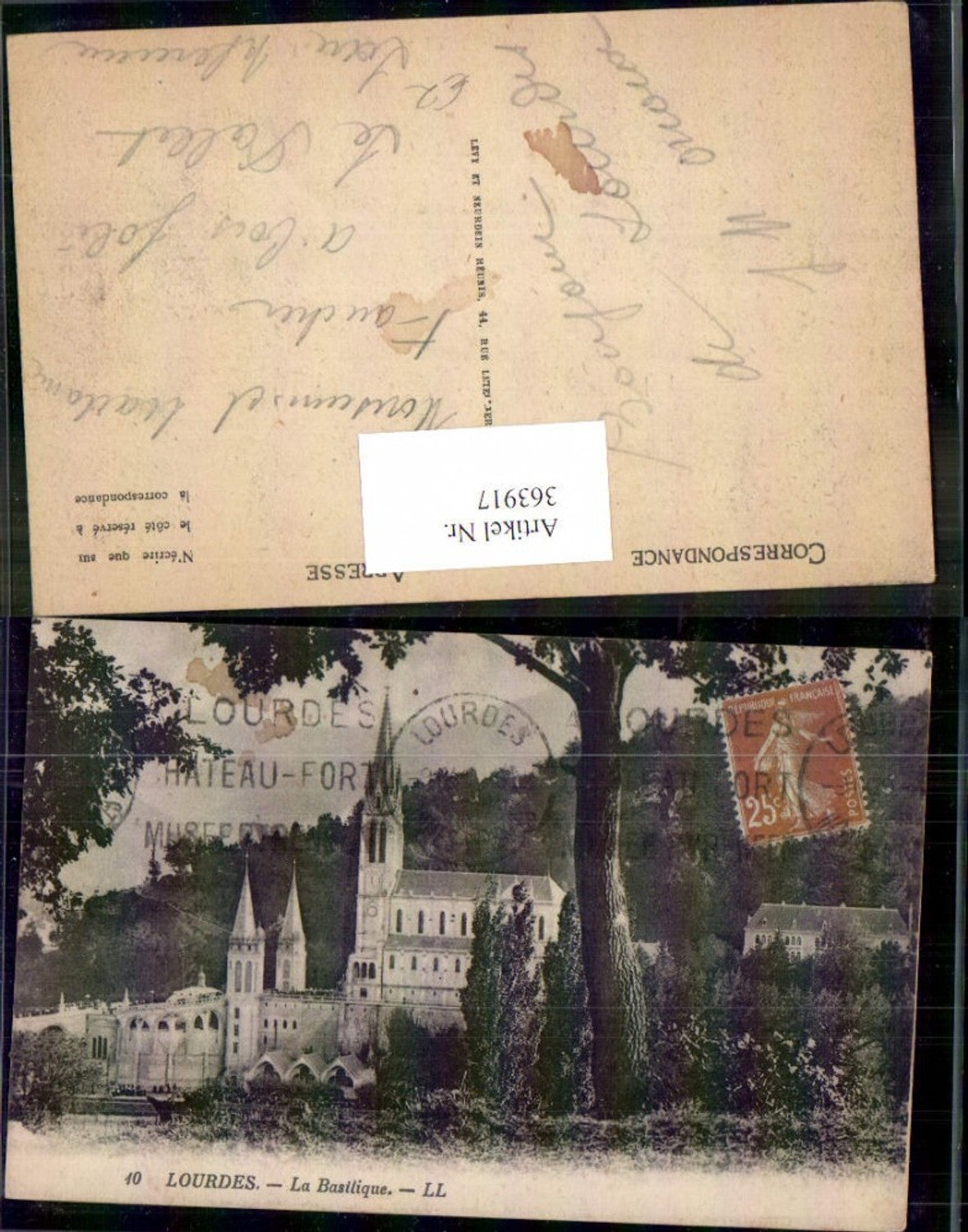 363917,Kirche Lourdes La Basilique Basilika