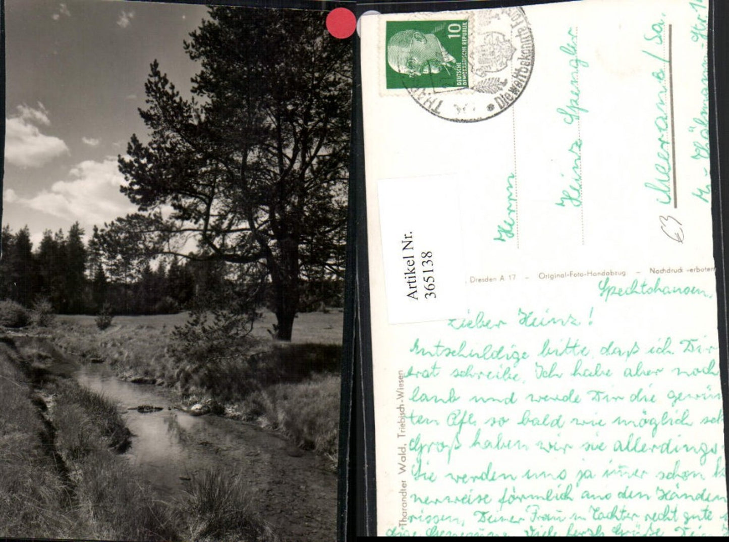 365138,Tharandter Wald Triebisch-Wiesen b. Tharandt Landschaft
