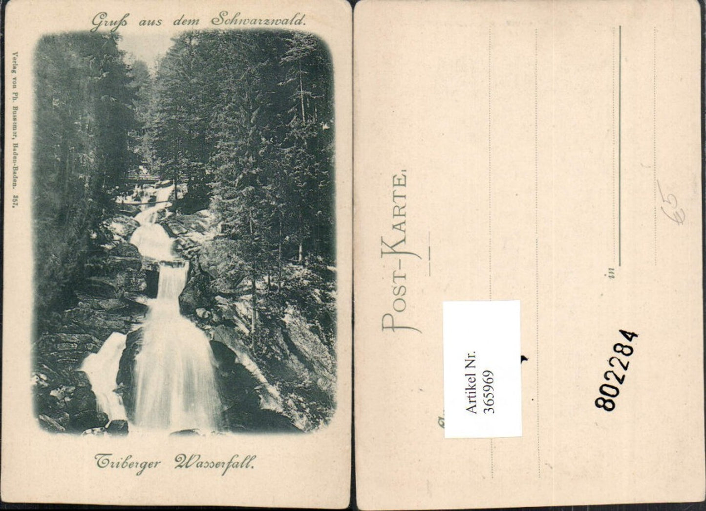 365969,Gruß aus dem Schwarzwald Triberg Triberger Wasserfall