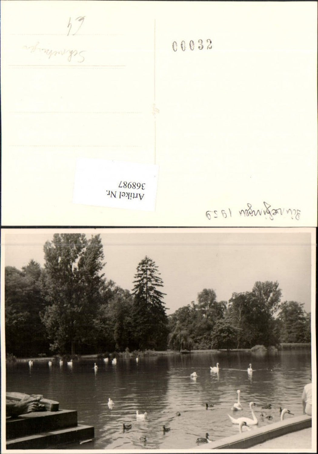 368987,Foto AK Schwetzingen Teich Schwäne Enten