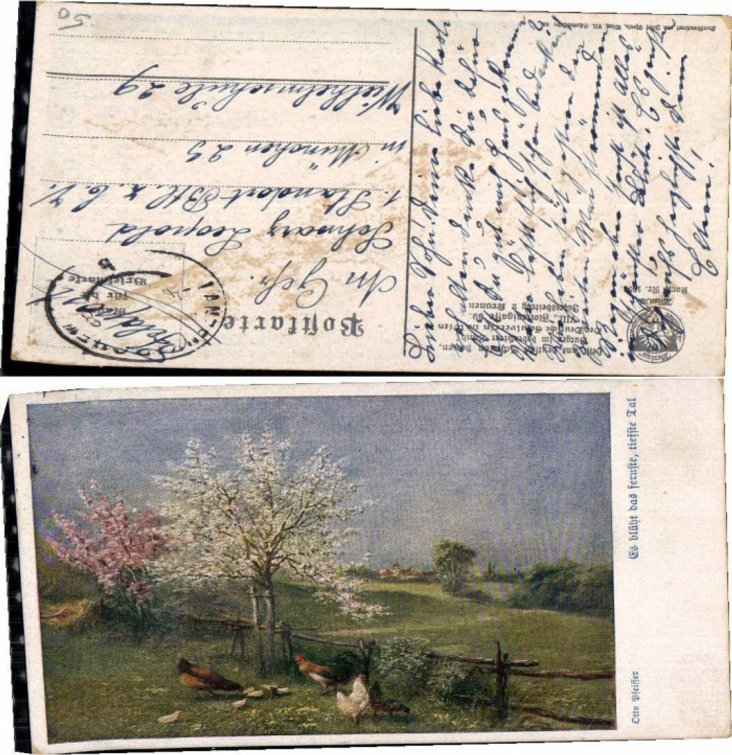 68130,Schulverein 1050 Otto Pfeiffer Hühne auf Wiese es blüht das fernste tiefste Tal