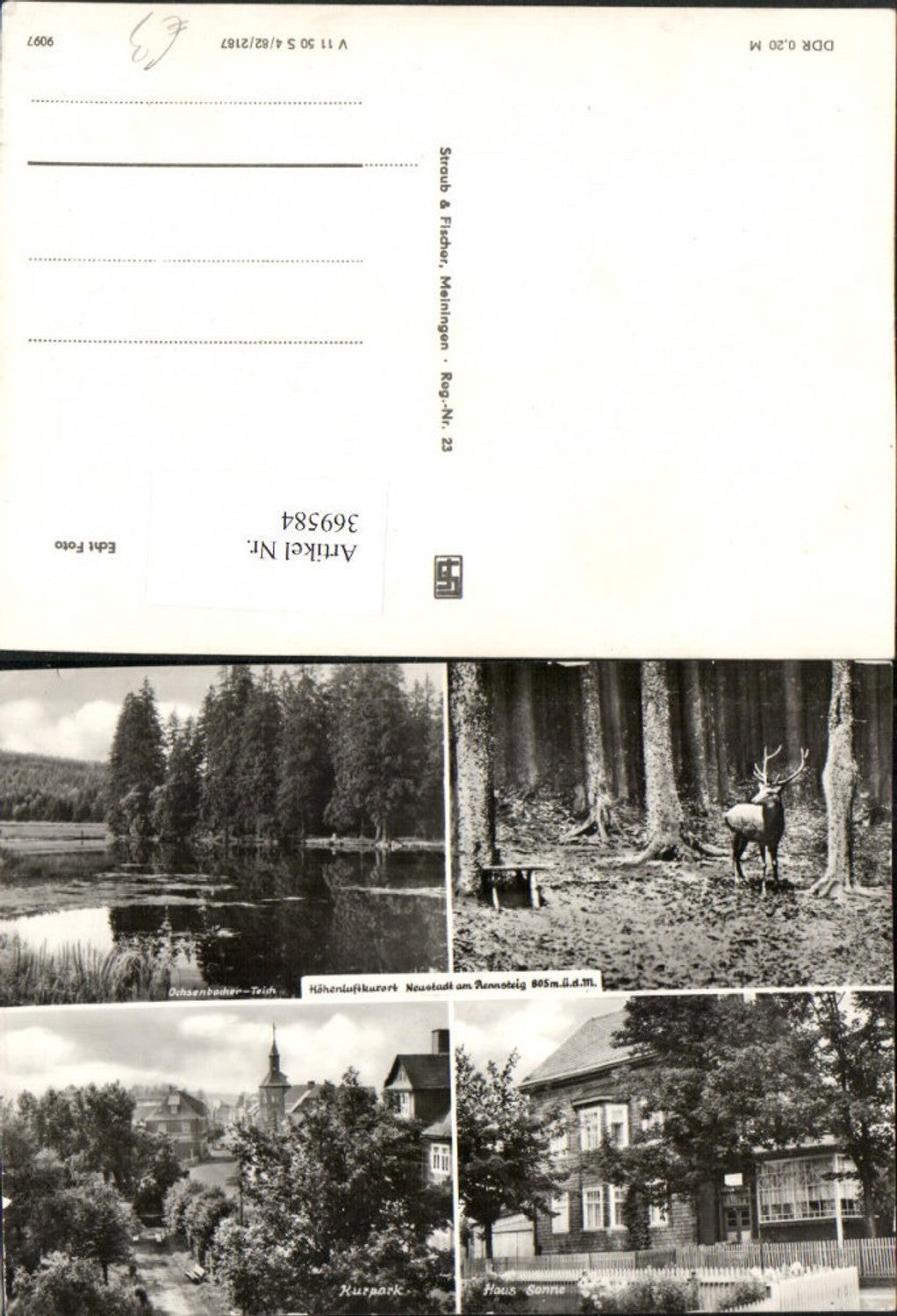 369584,Neustadt am Rennsteig Kurpark Haus Sonne Teich Hirsch Mehrbildkarte