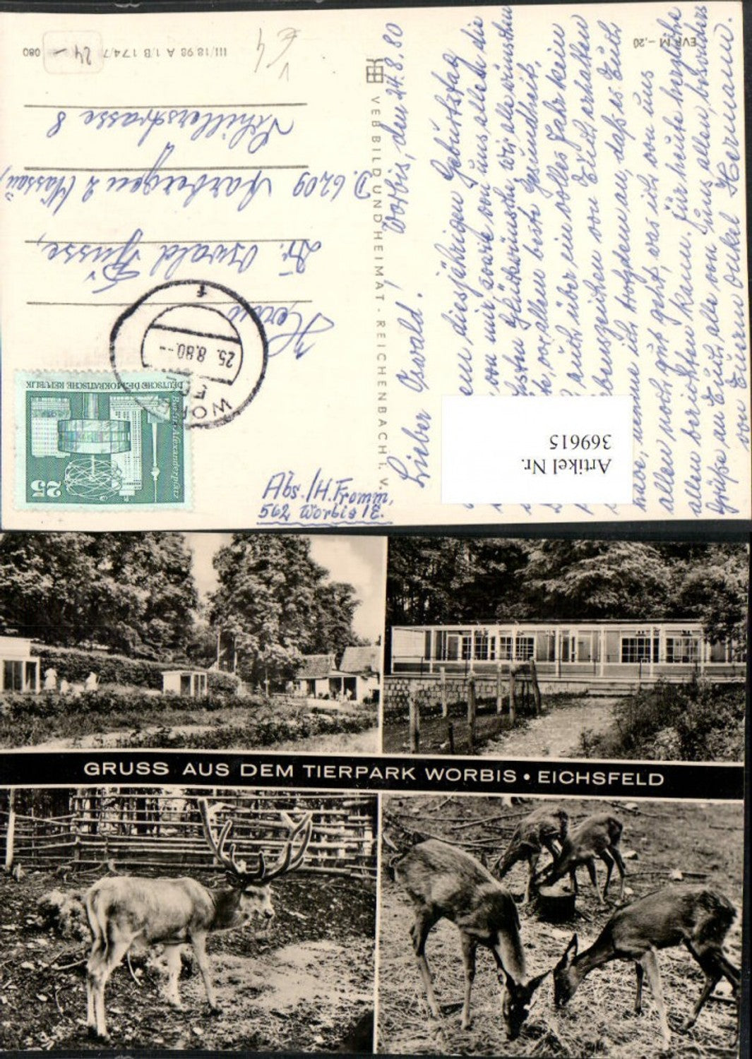 369615,Worbis Tierpark Hirsch Rehe Wild Mehrbildkarte pub VEB