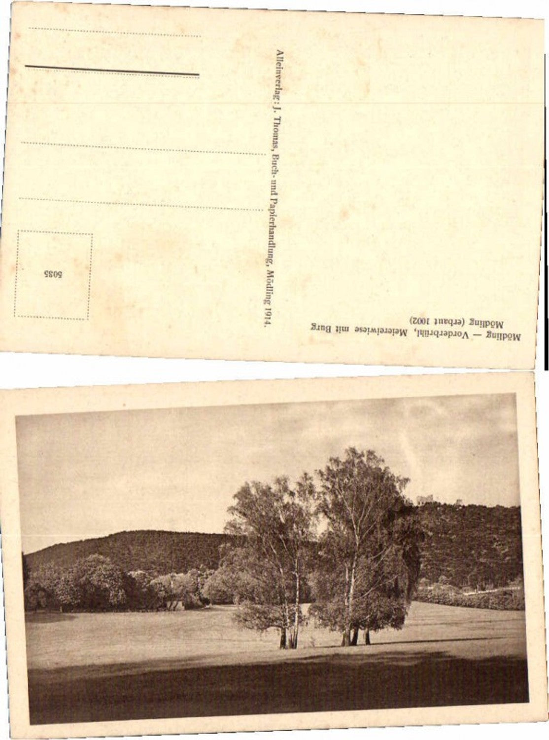 68473,Mödling Vorderbrühl Wiese b. Meierei m. Burg