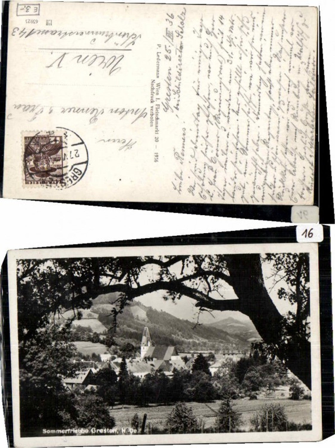 68768,Sommerfrische Gresten 1936 pub Ledermann