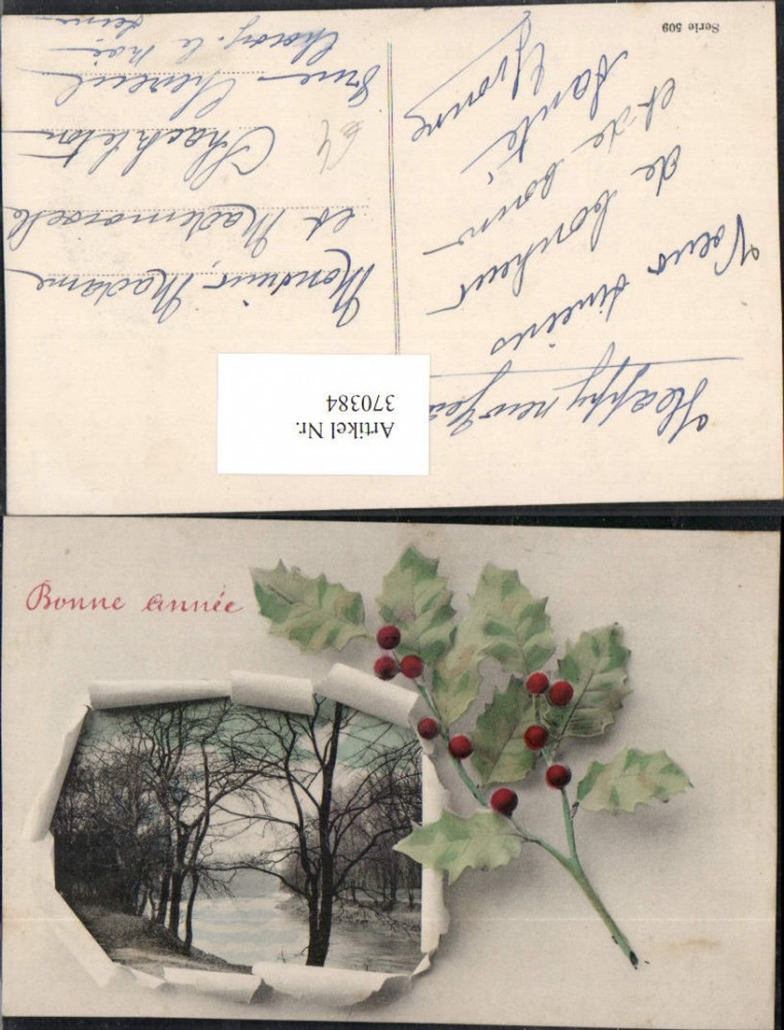 370384,Neujahr Landschaft Passepartout Zerrissenes Papier Stechpalme