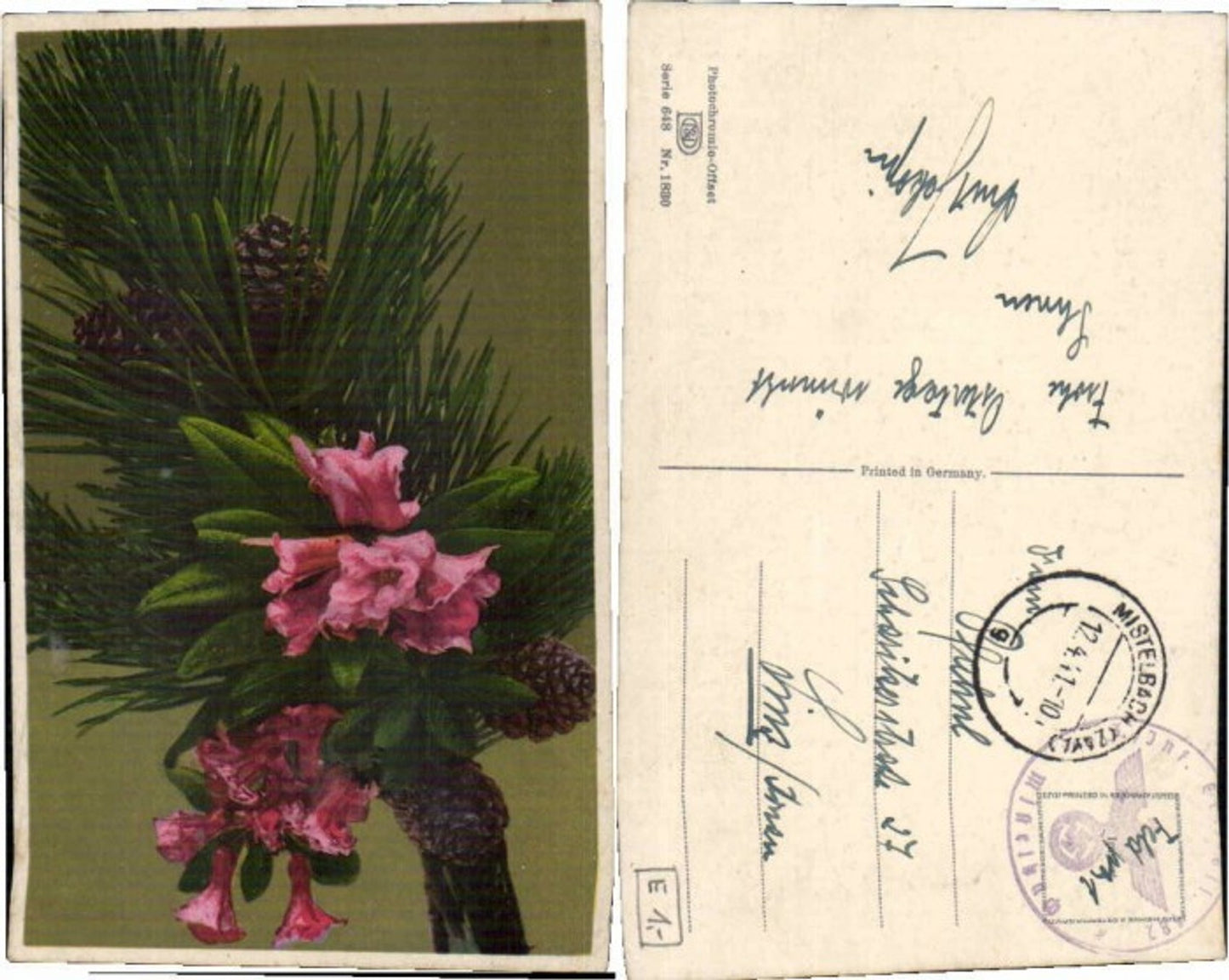 69230,Photochromie Ser 648-1830 Baum Tanne