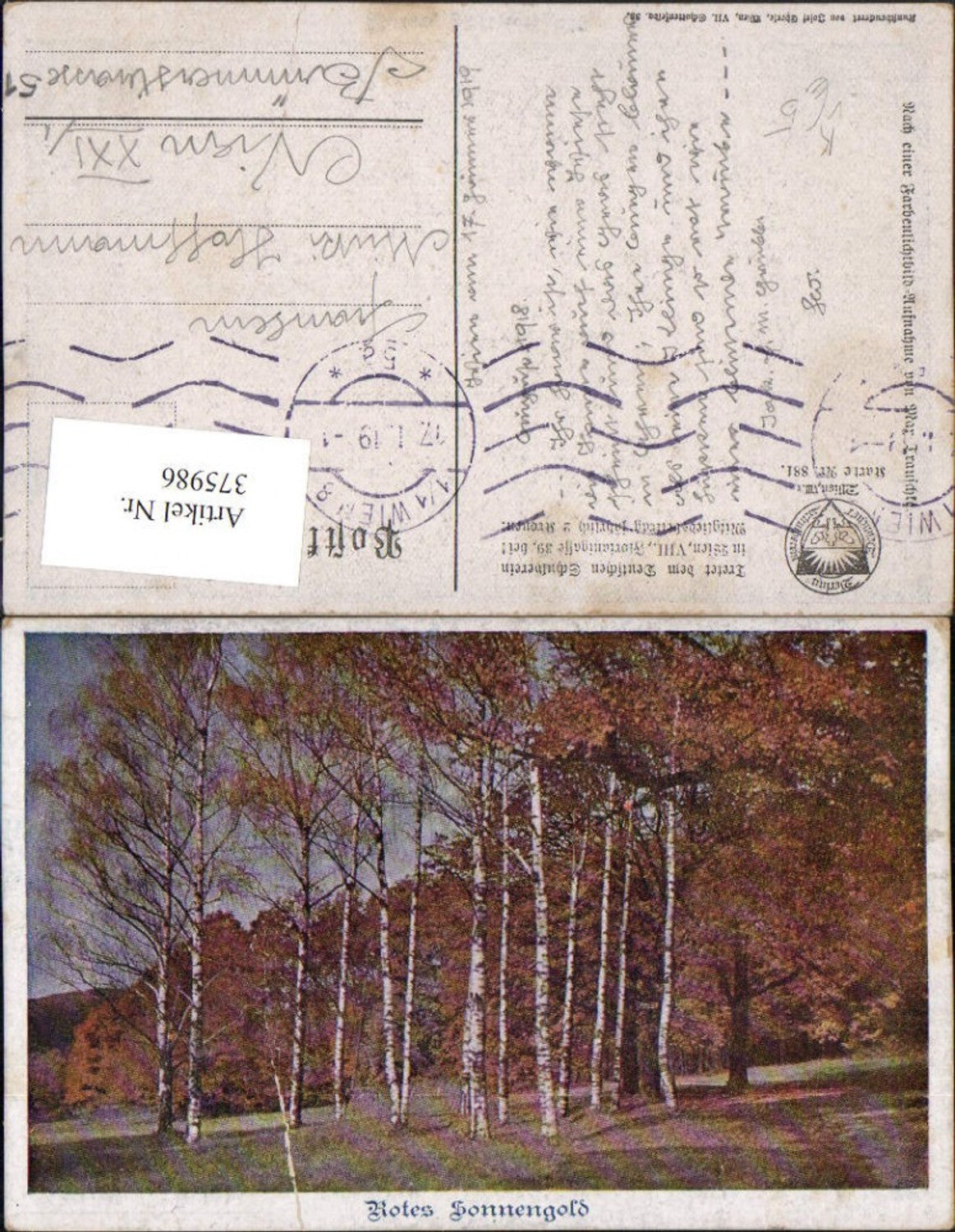 375986,Deutscher Schulverein 881 Künstler Max Trauschke Rotes Sonnengold Herbst Wald