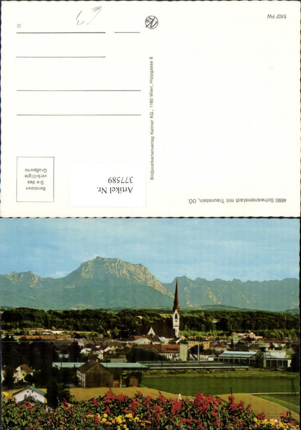 377589,Schwanenstadt Totale m. Traunstein Bergkulisse