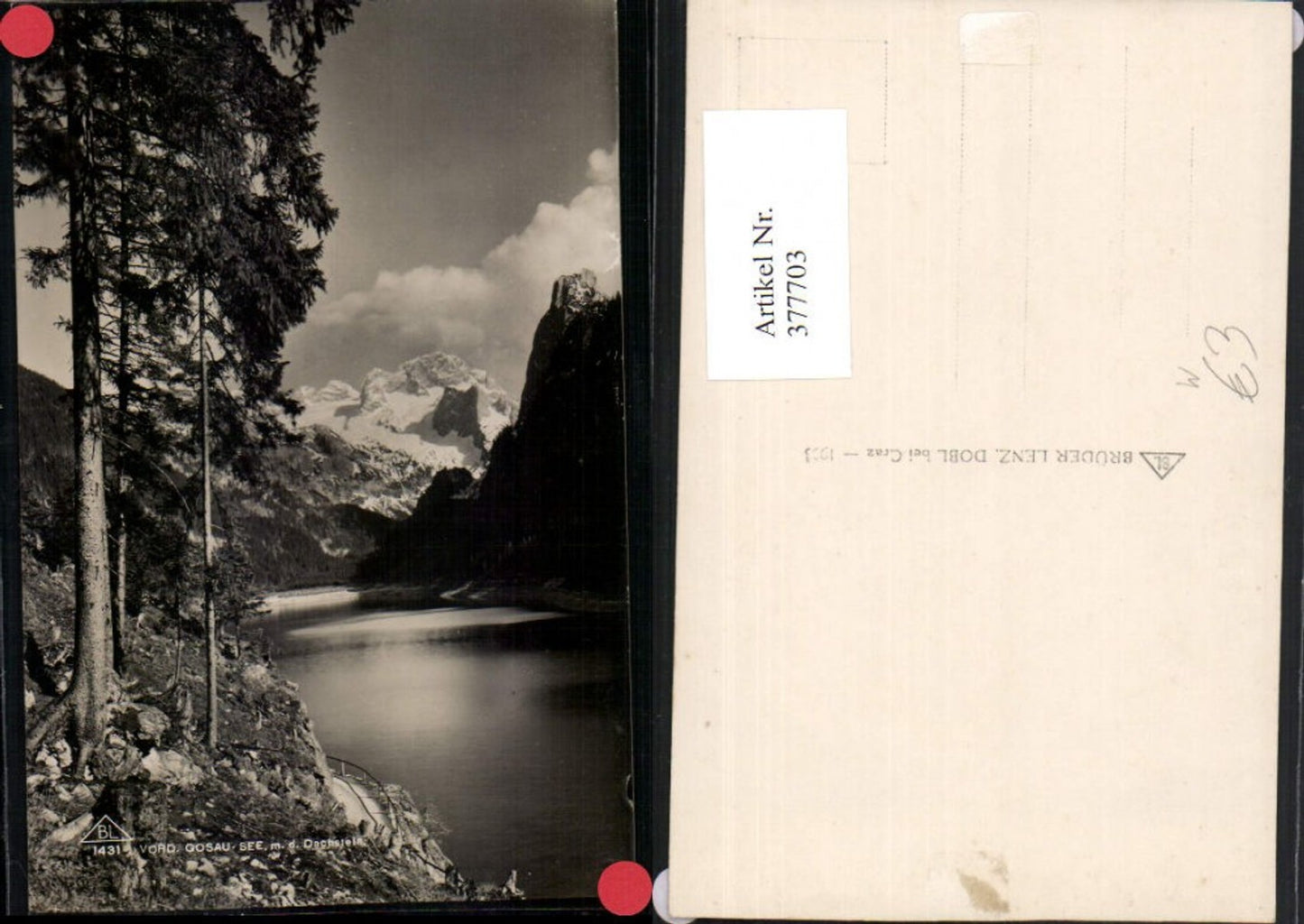 377703,Vorderer Gosausee See b. Gosau m. Dachstein Bergkulisse