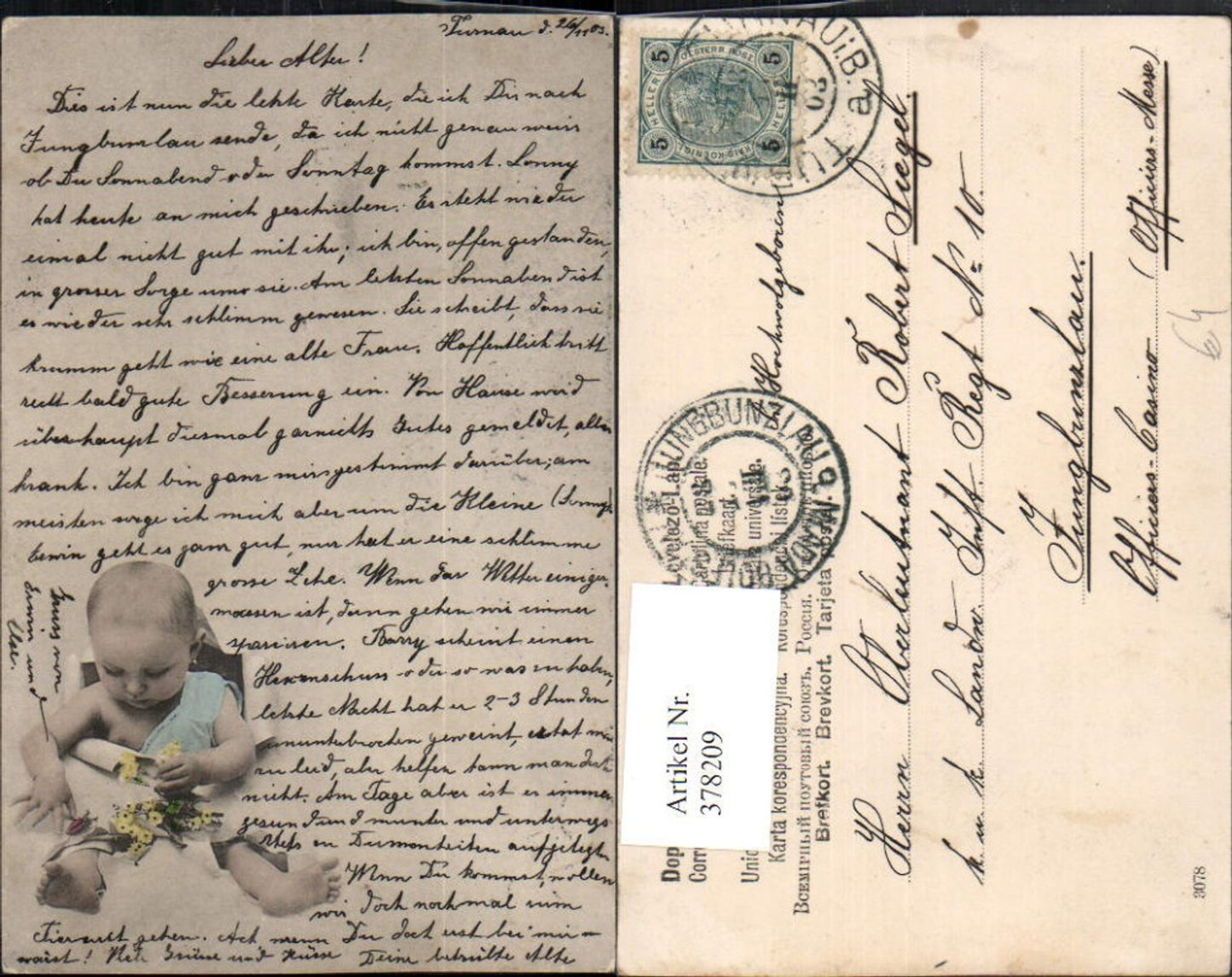 378209, Child Baby Flowers Beetle