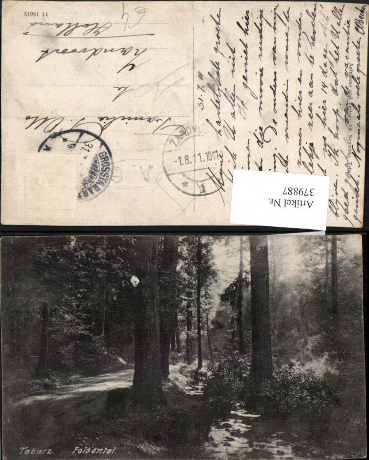 379887,Tabarz in Thüringen Felsental Wald Partie