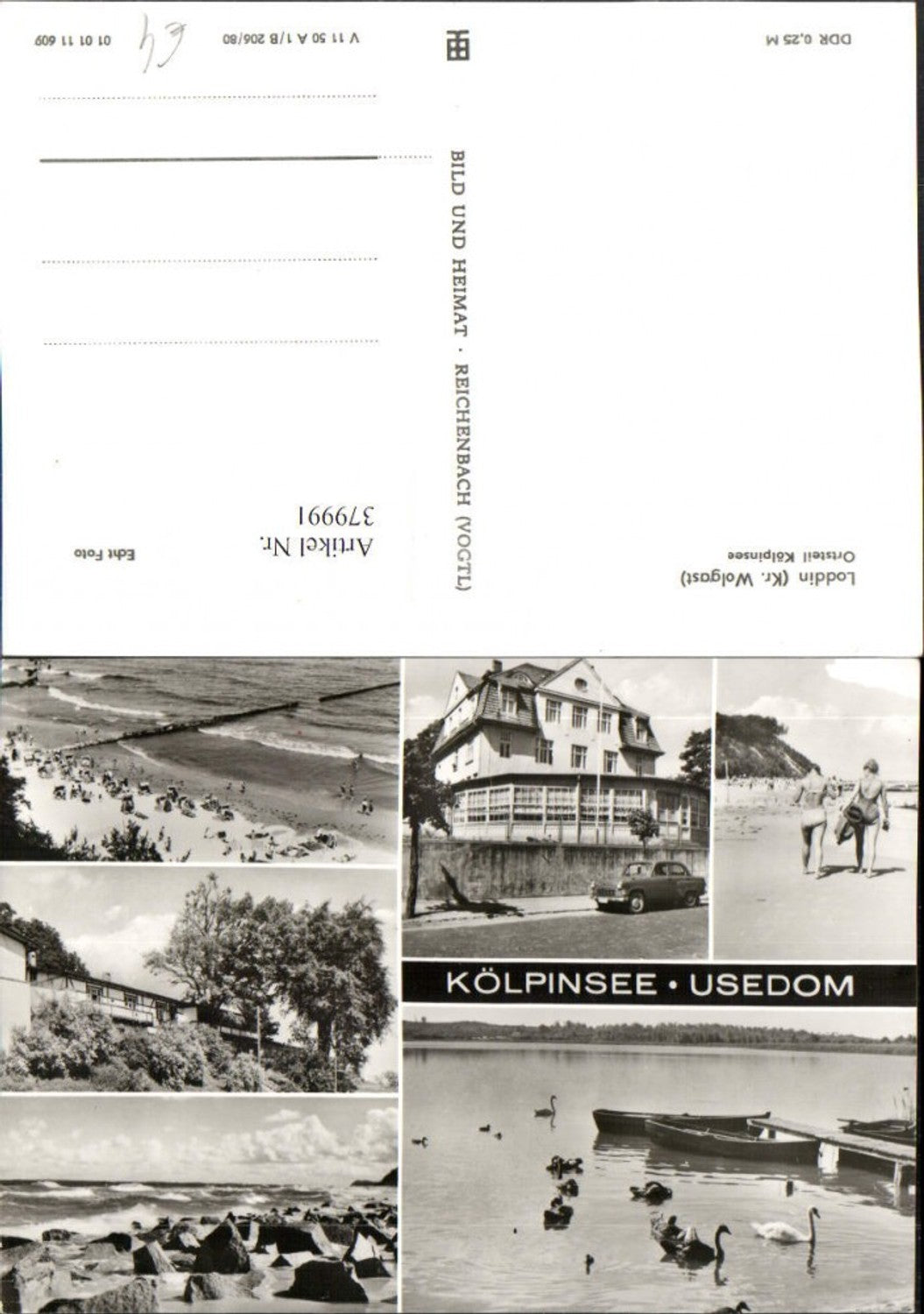 379991,Loddin Kölpinsee auf Usedom Küste Strand Schwäne Mehrbildkarte