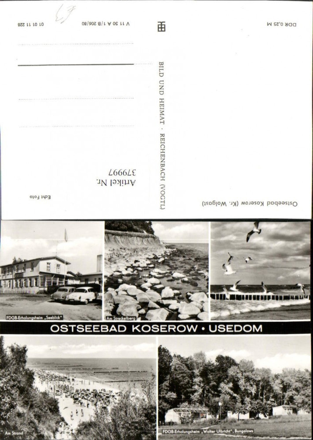 379997,Koserow auf Usedom Strand Küste Streckelberg Möwen Erholungsheime Mehrbildkarte