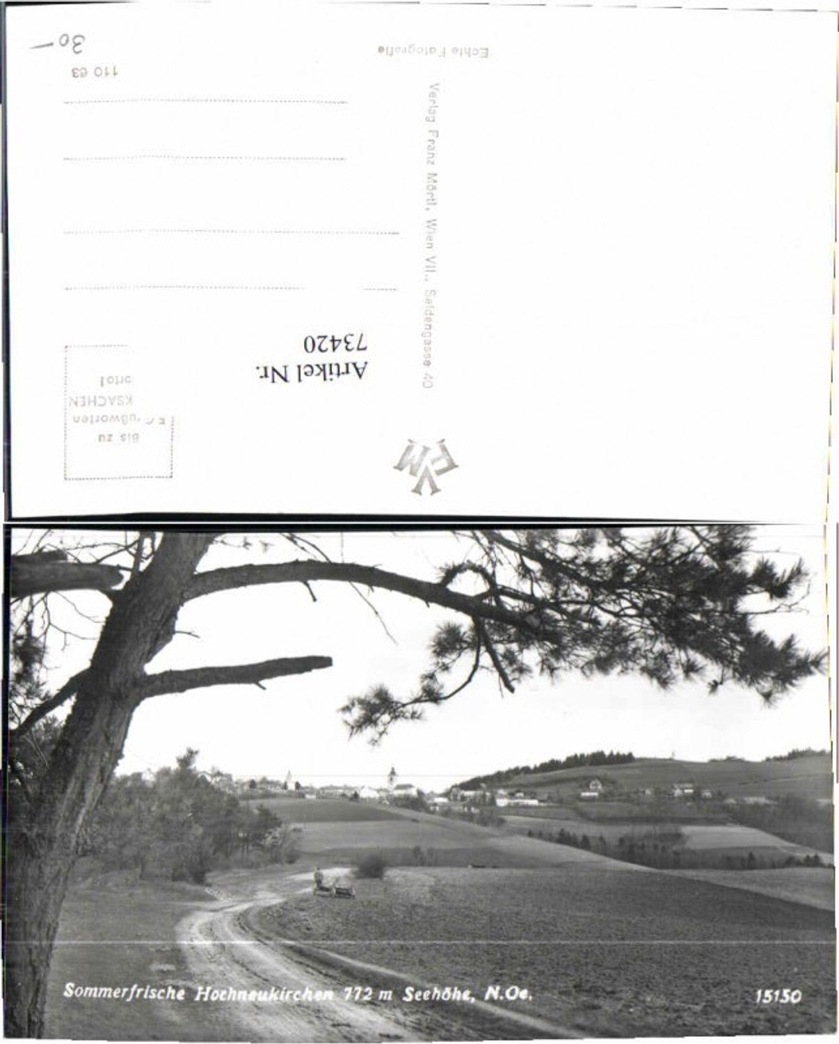 73420,Sommerfrische Hochneukirchen Wegpartie