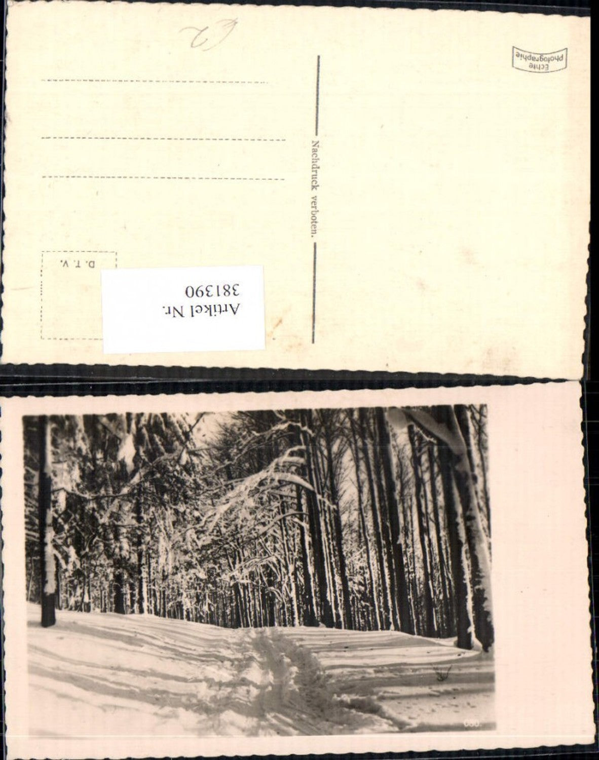 381390,Fotokunst Weg Bäume Winterlandschaft