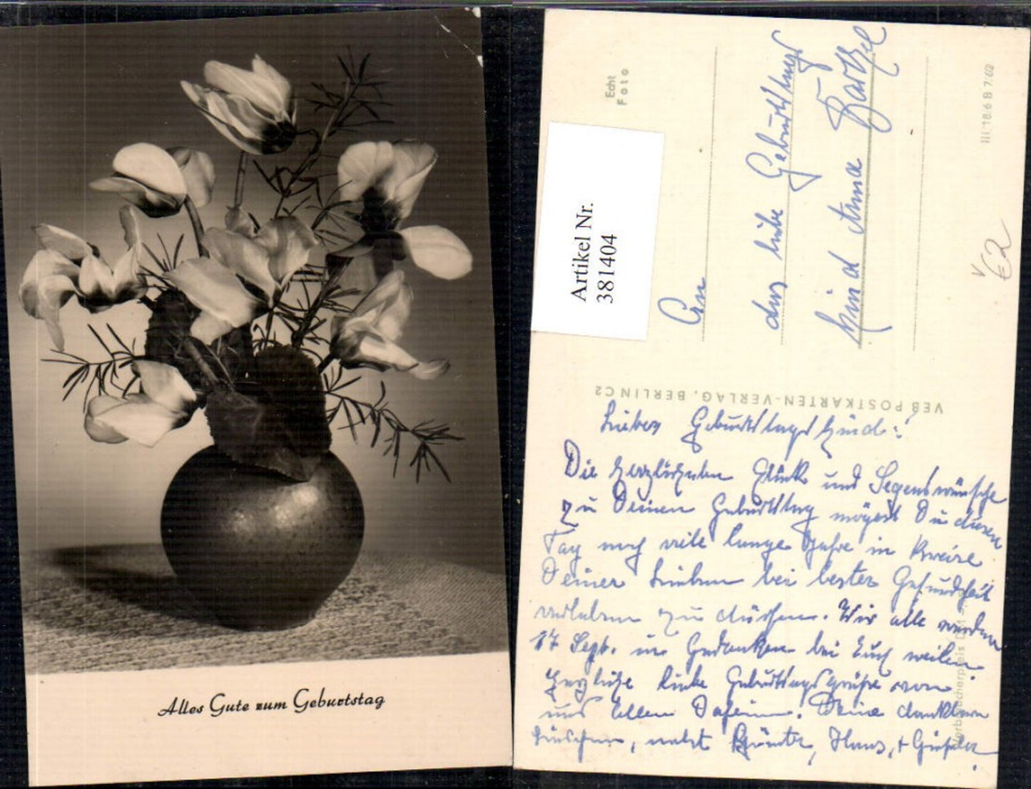 381404,Fotokunst Alpenveilchen Blumen i. Vase pub VEB
