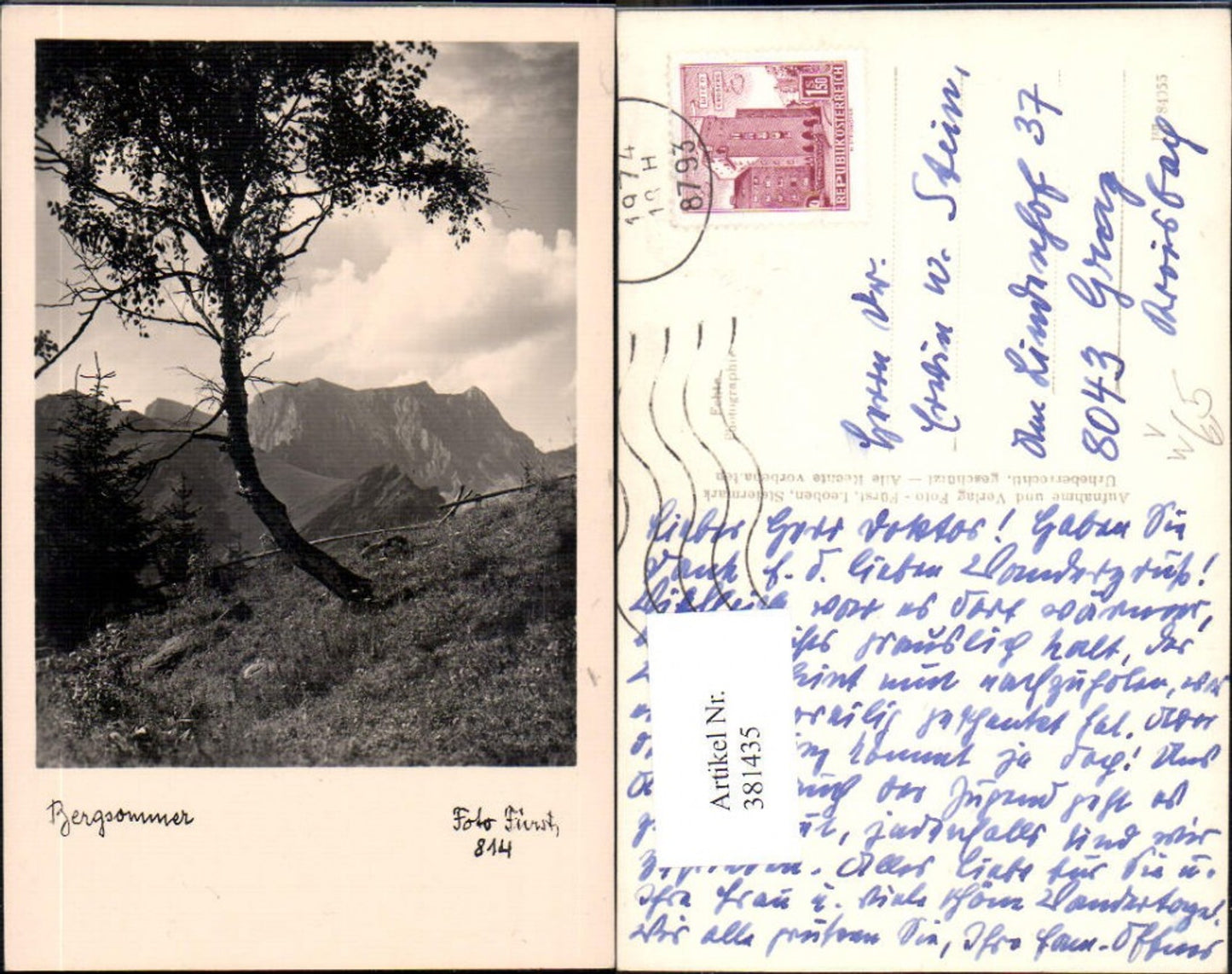 381435,Fotokunst Bergsommer Baum Landschaft Bergkulisse pub Foto Fürst Leoben 814