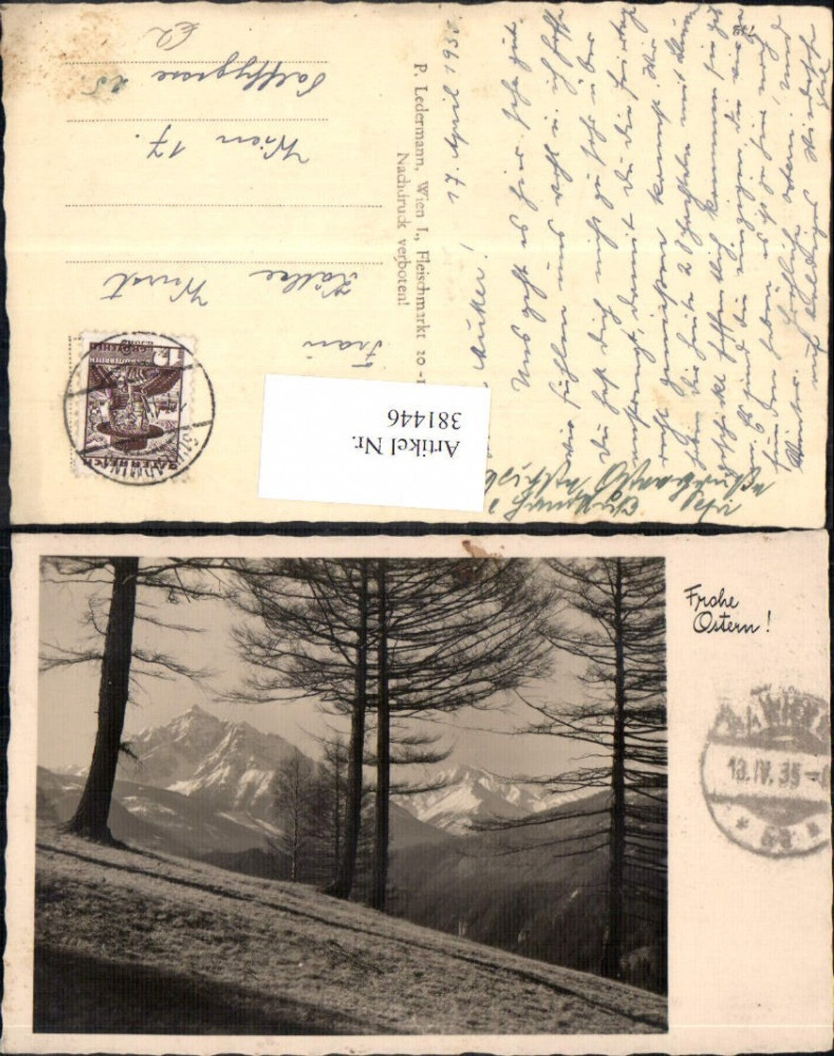 381446,Fotokunst Bäume Landschaft Bergkulisse
