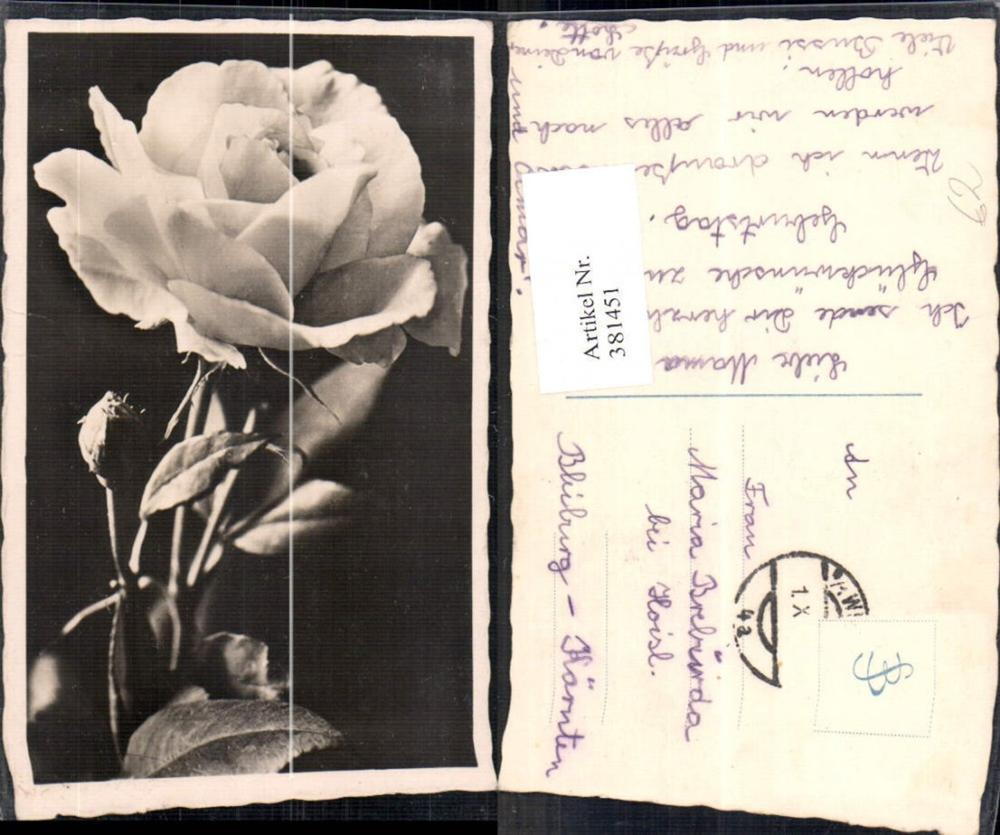 381451,Fotokunst Weiße Rose Blume Detailbild