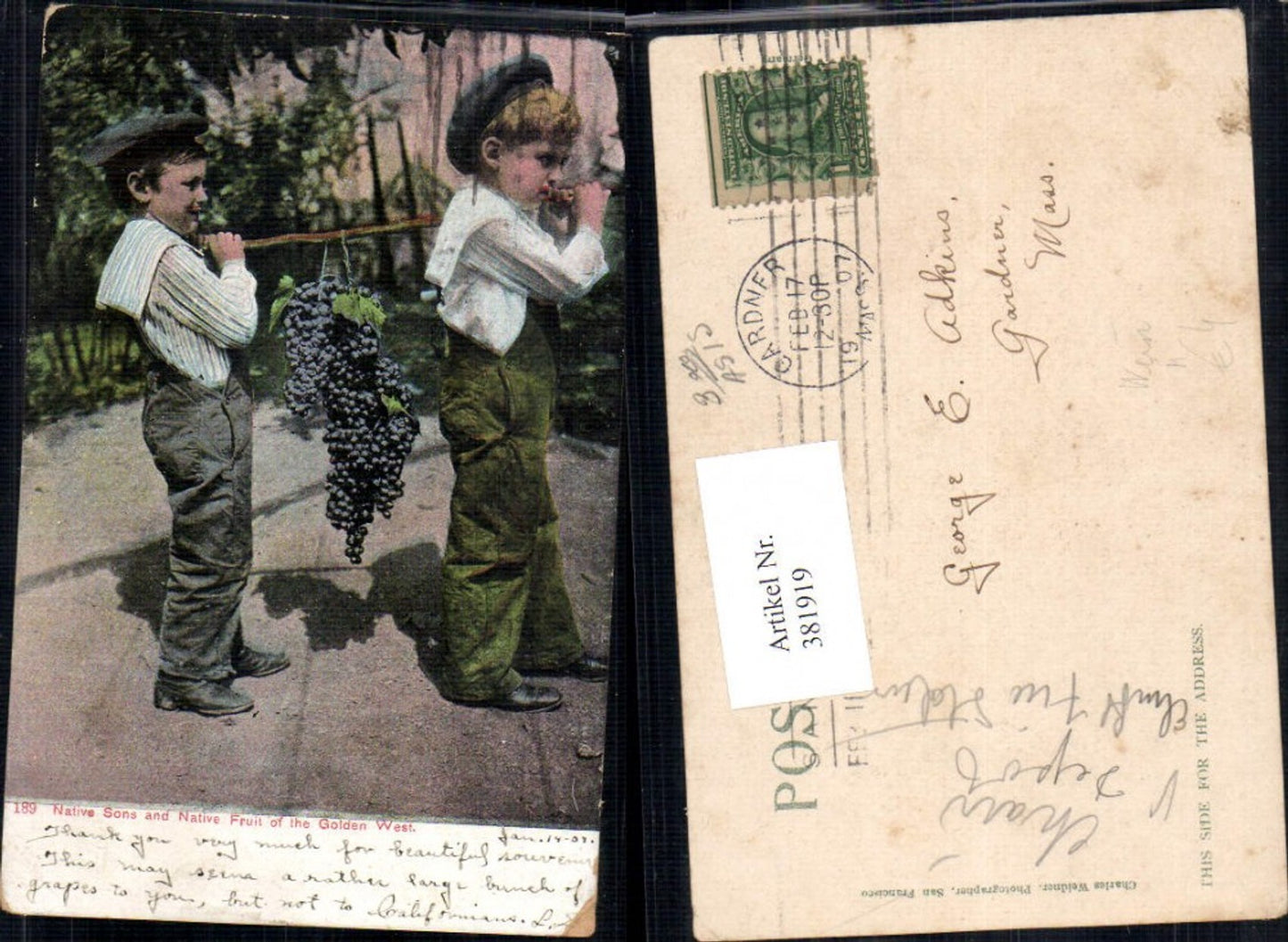 381919,Kinder Buben Jungen Weintraube a. Stock getragen Native Sons and Native Fruit of the Golden West