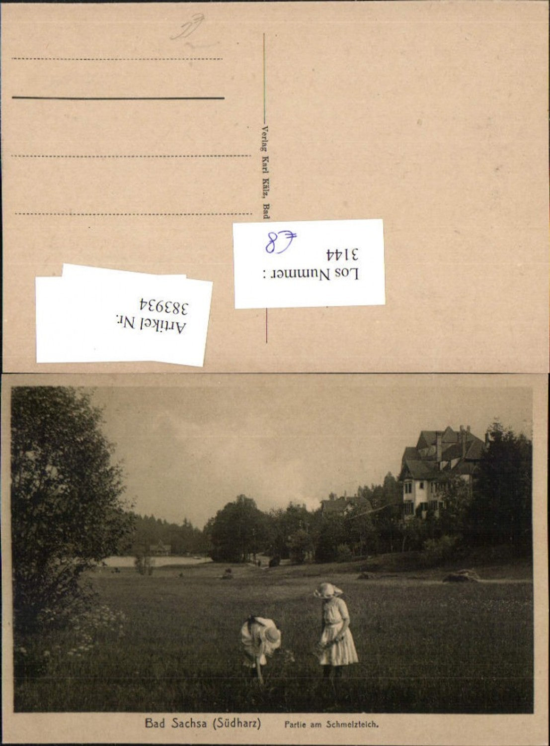 383934,Bad Sachsa im Südharz Partie am Schmelzteich Wiese