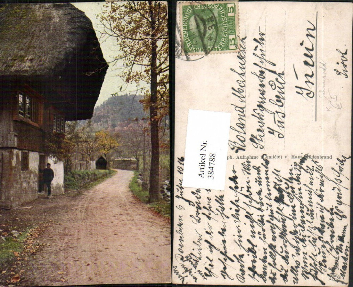 384788,Künstler AK Schwarzwald Schwarzwaldhaus Straße