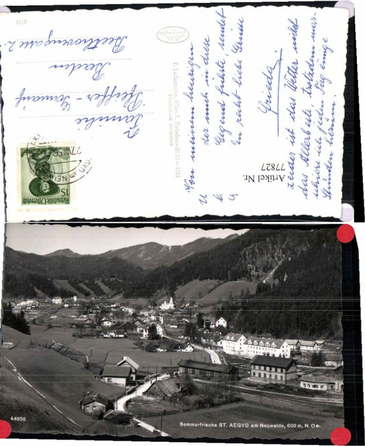 77827,Sommerfrische St Aegyd am Neuwalde Ledermann 44856