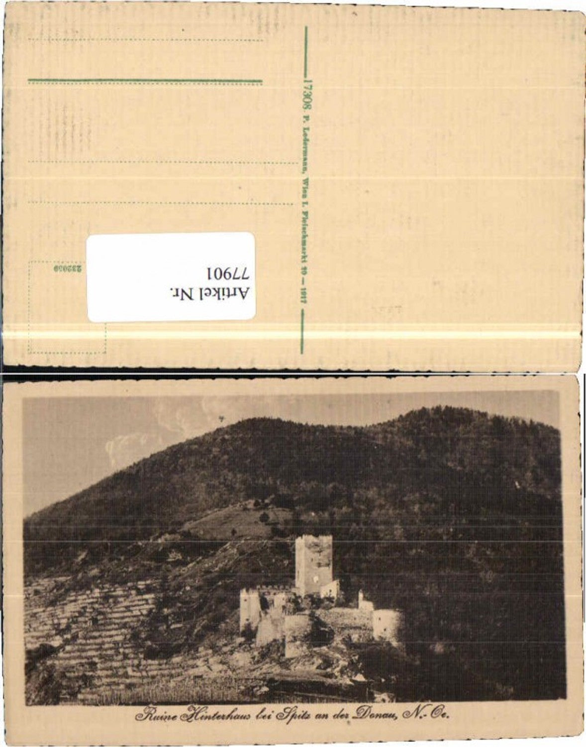 77901,Ruine Hinterhaus b. Spitz a.d. Donau Wachau