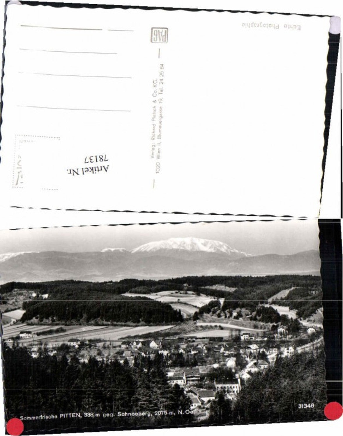 78137,Sommerfrische Pitten Totale Ledermann 31346