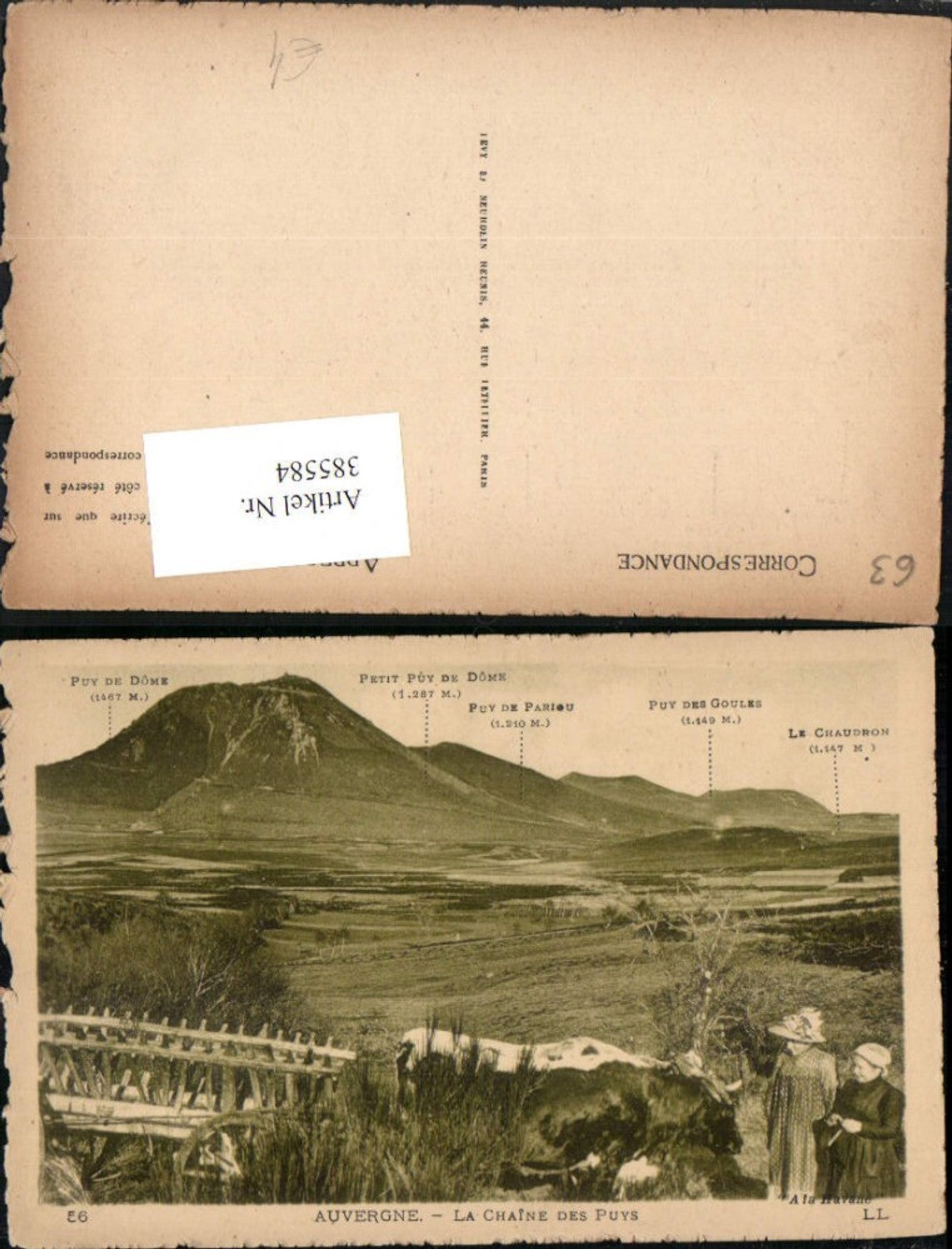 385584,Auvergne Puy-de-Dome La Chaine des Puys Bergkulisse Rind