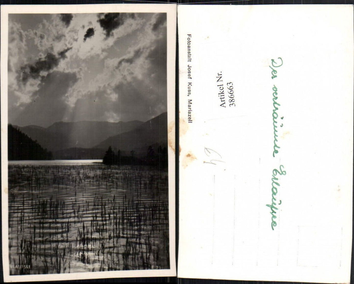 386663,Foto AK Erlaufsee See b. Mitterbach Stimmungsbild