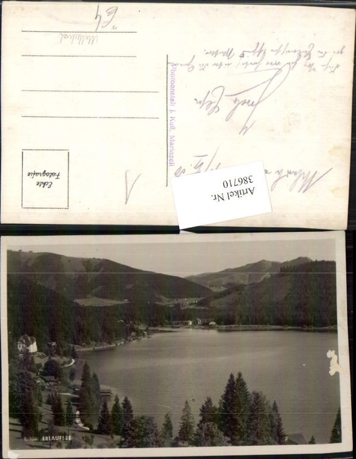 386710,Foto AK Erlaufsee See b. Mitterbach