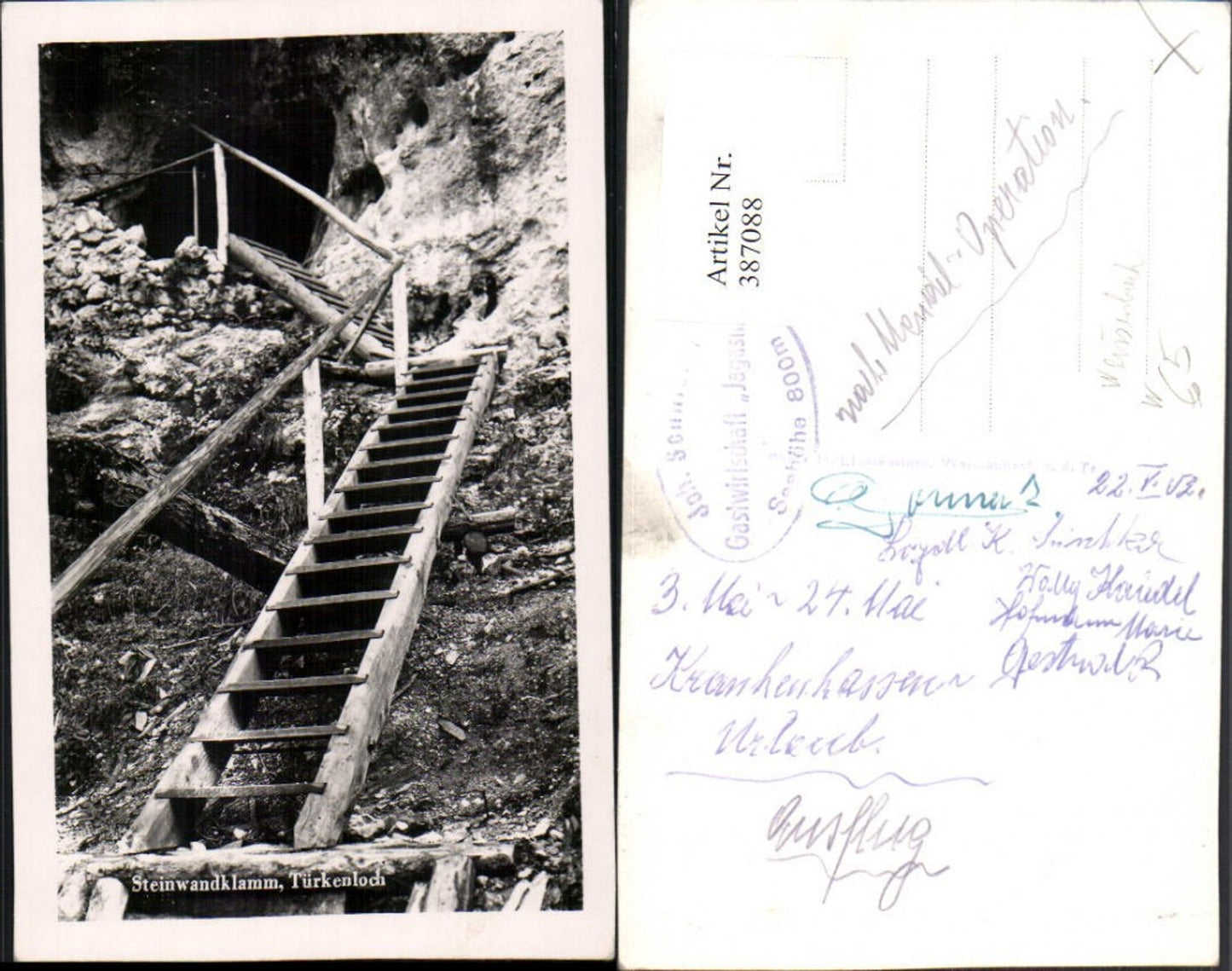 387088,Steinwandklamm Türkenloch Höhle b. Weissenbach Furth an d. Triesting