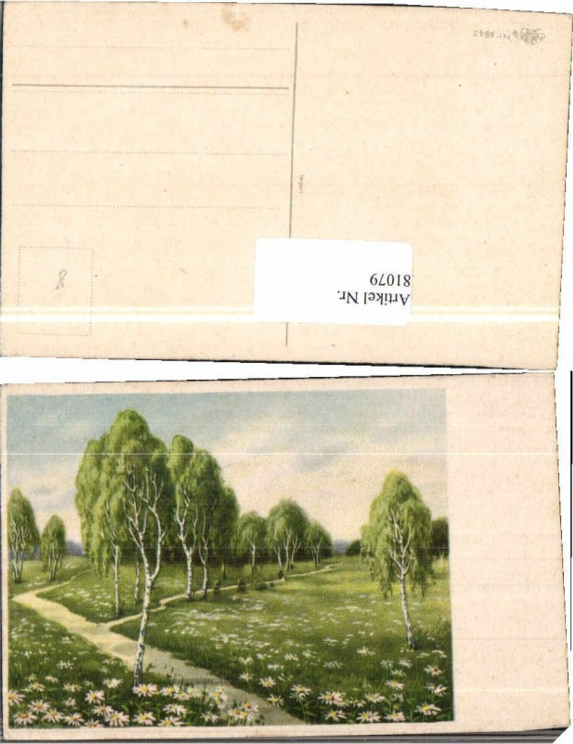 81079,Blumenwiese Gänseblümchen Bäume Erika Nr 4842