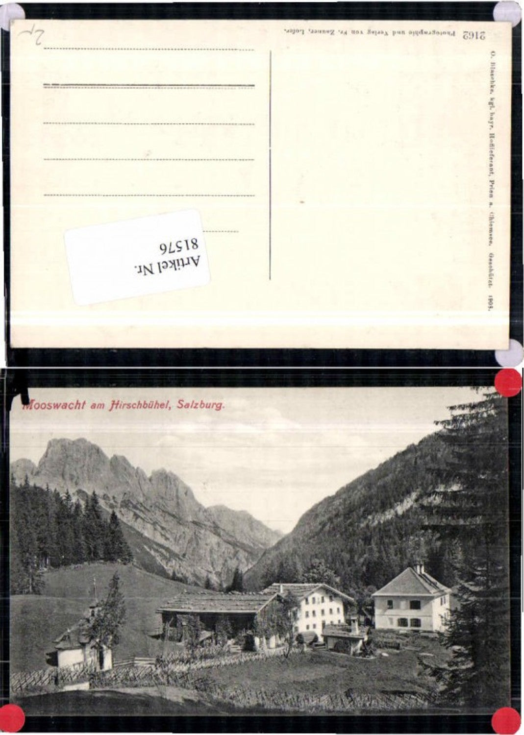81576,Mooswacht am Hirschbühel Weissbach Unken Lofer