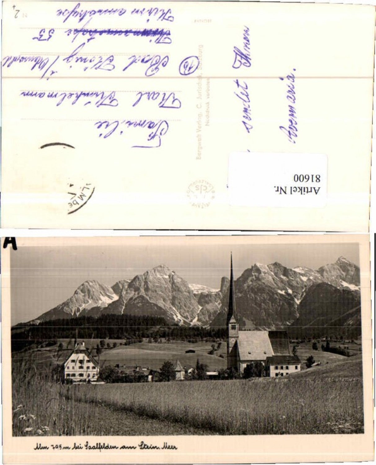 81600,Alm bei Saalfelden Wiesenpartie